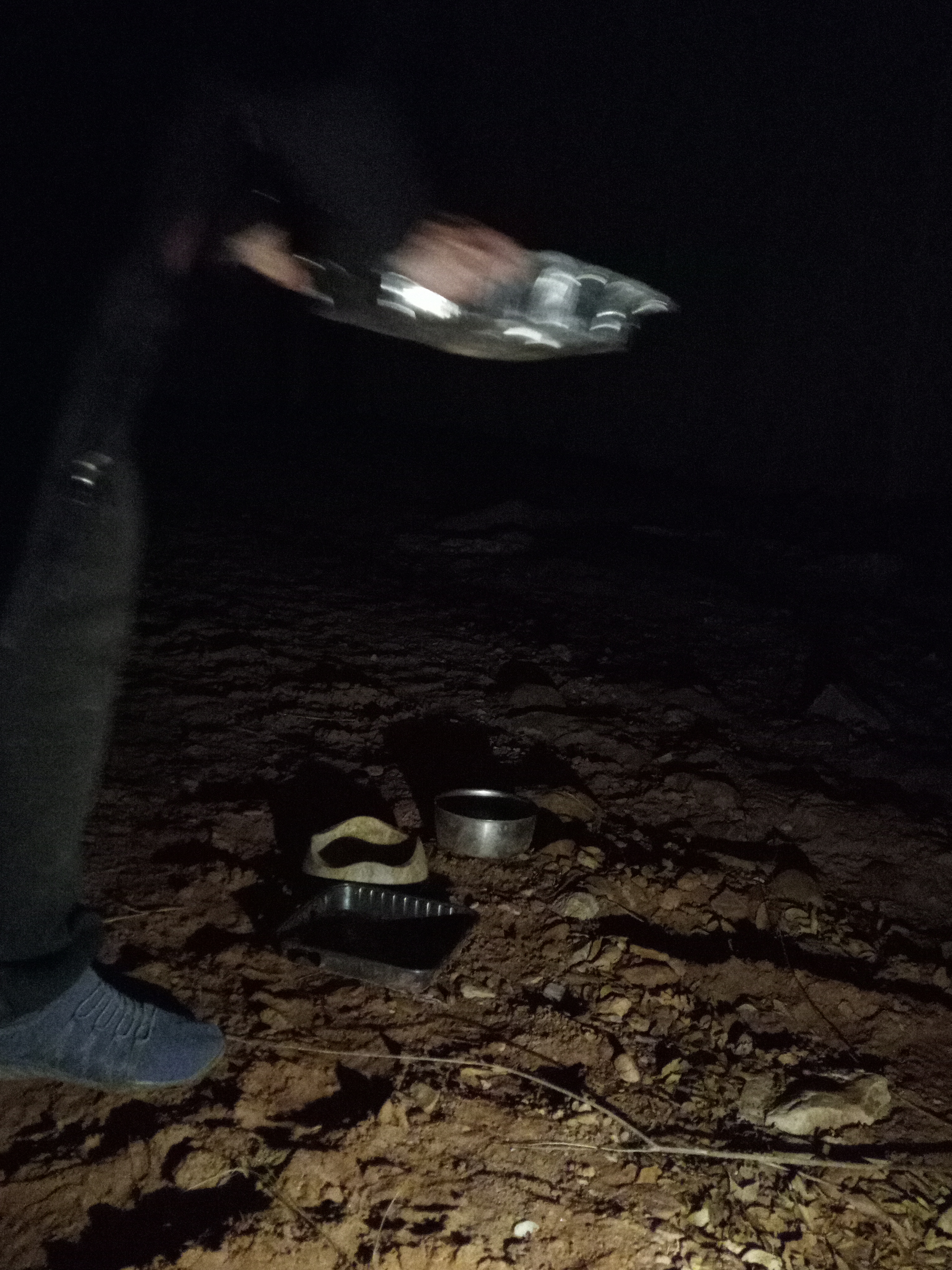 Raw animal camera upload (unprocessed). File: mot-det-20251229-183038.jpg.