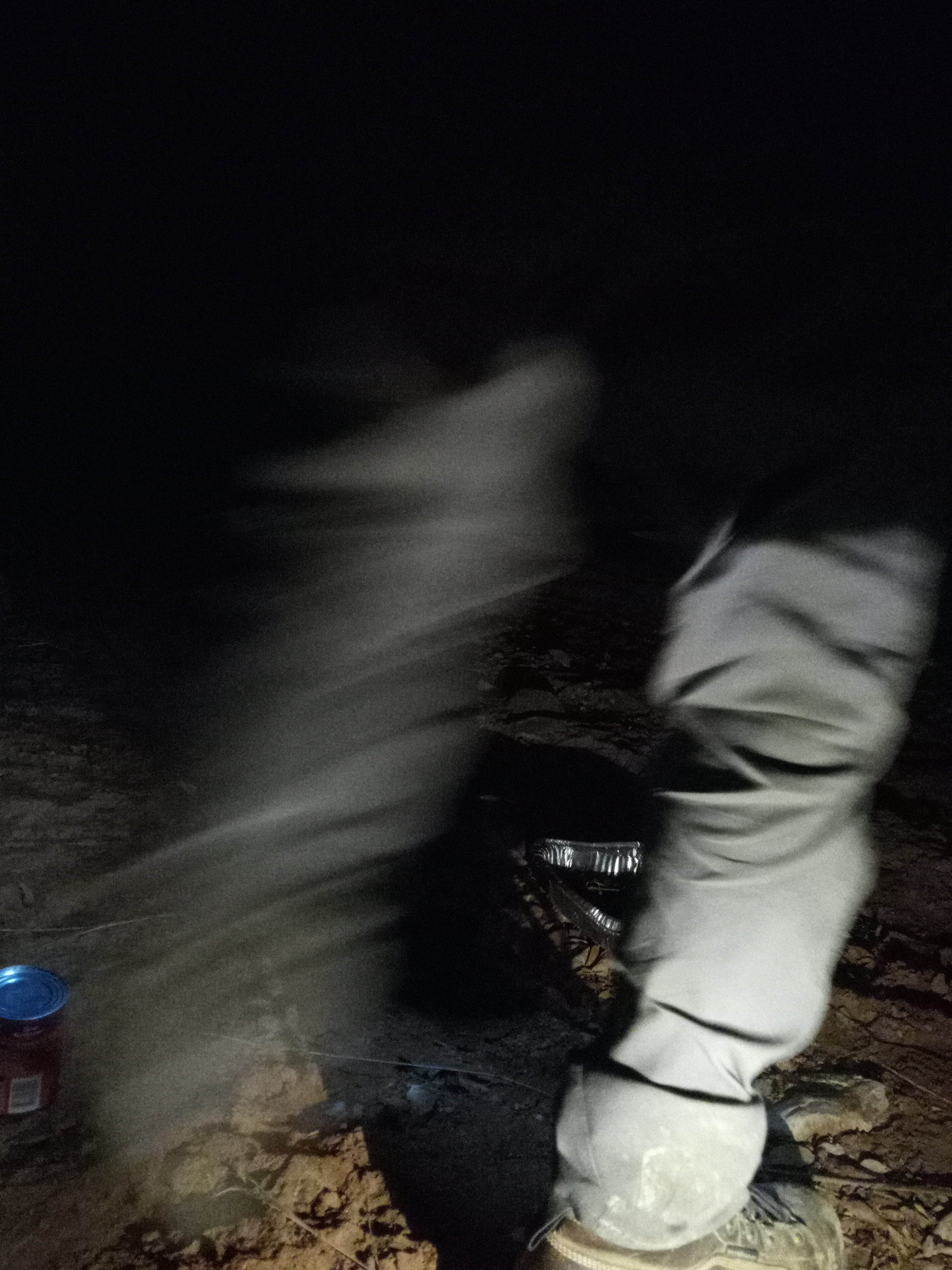 Raw animal camera upload (unprocessed). File: mot-det-20251229-183106.jpg.