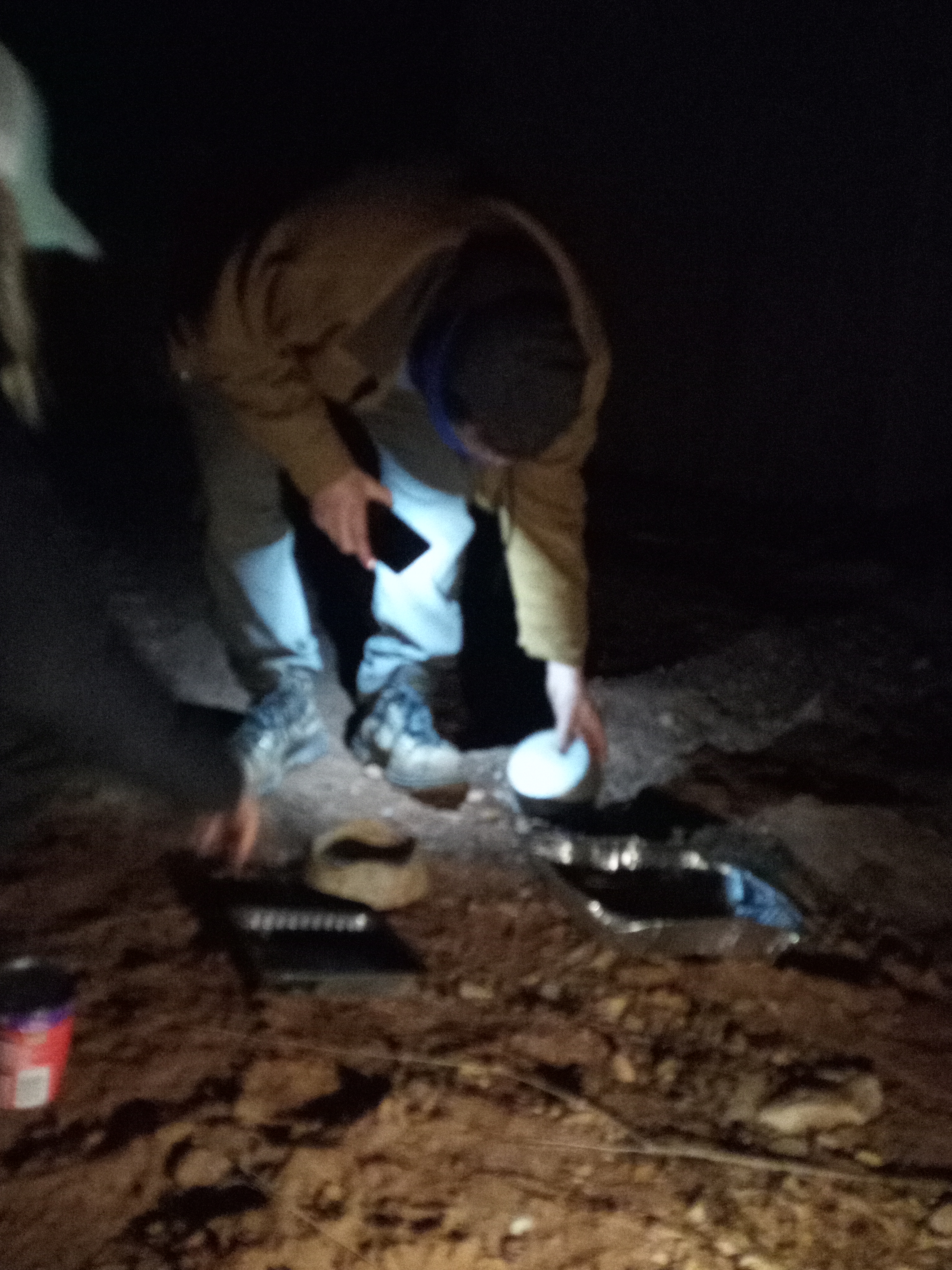 Raw animal camera upload (unprocessed). File: mot-det-20251229-183138.jpg.