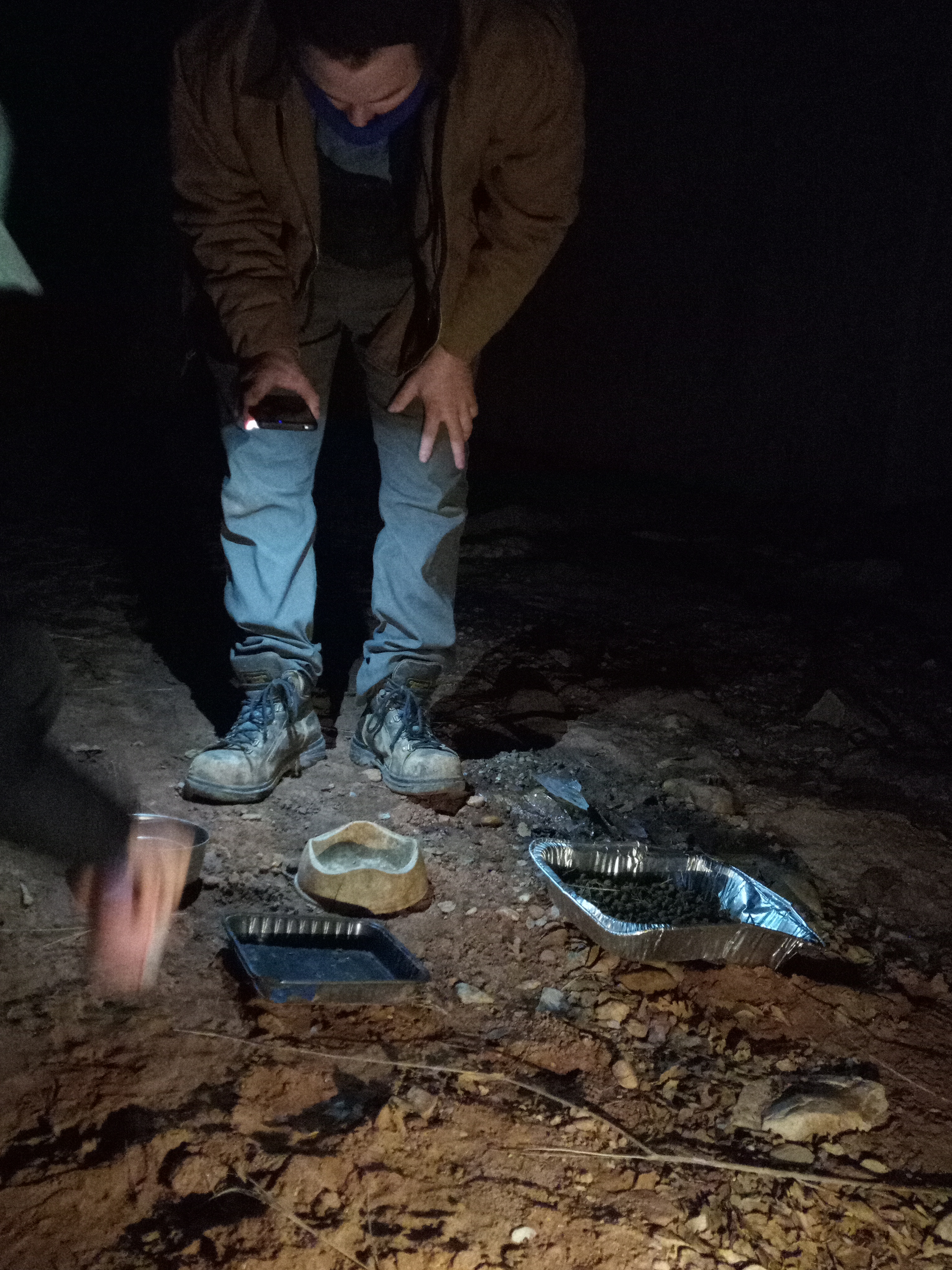 Raw animal camera upload (unprocessed). File: mot-det-20251229-183153.jpg.