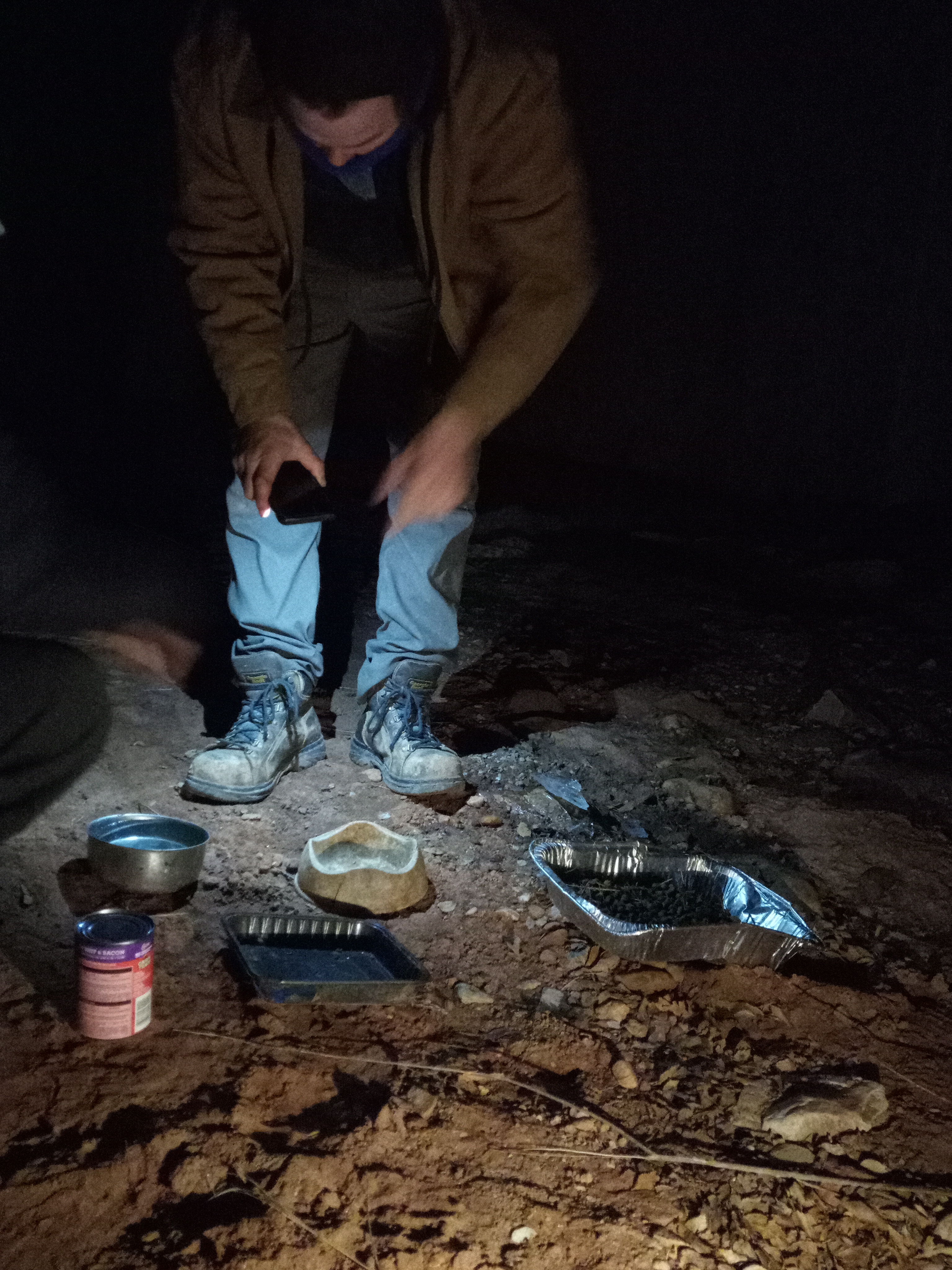 Raw animal camera upload (unprocessed). File: mot-det-20251229-183156.jpg.