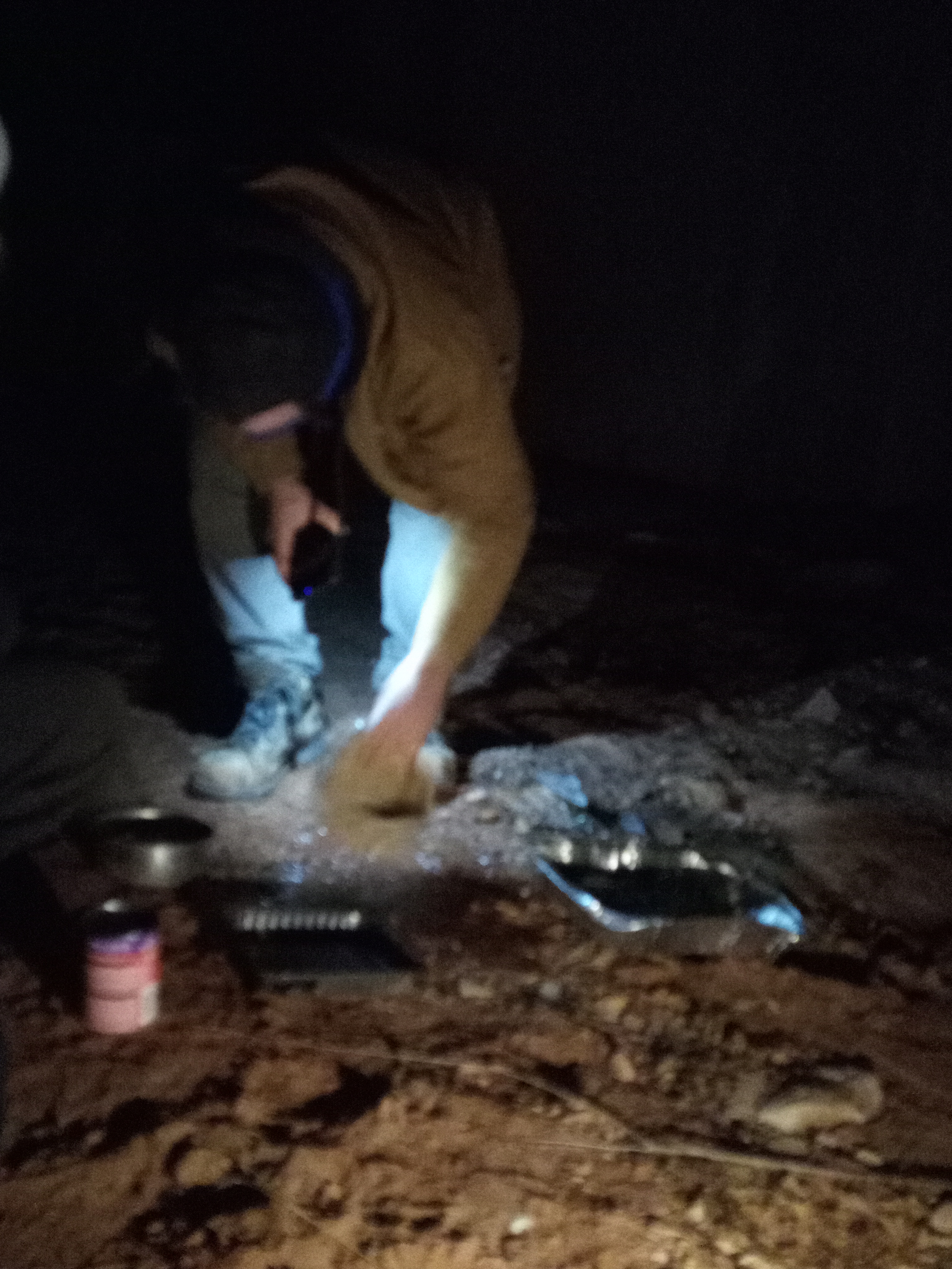 Raw animal camera upload (unprocessed). File: mot-det-20251229-183208.jpg.