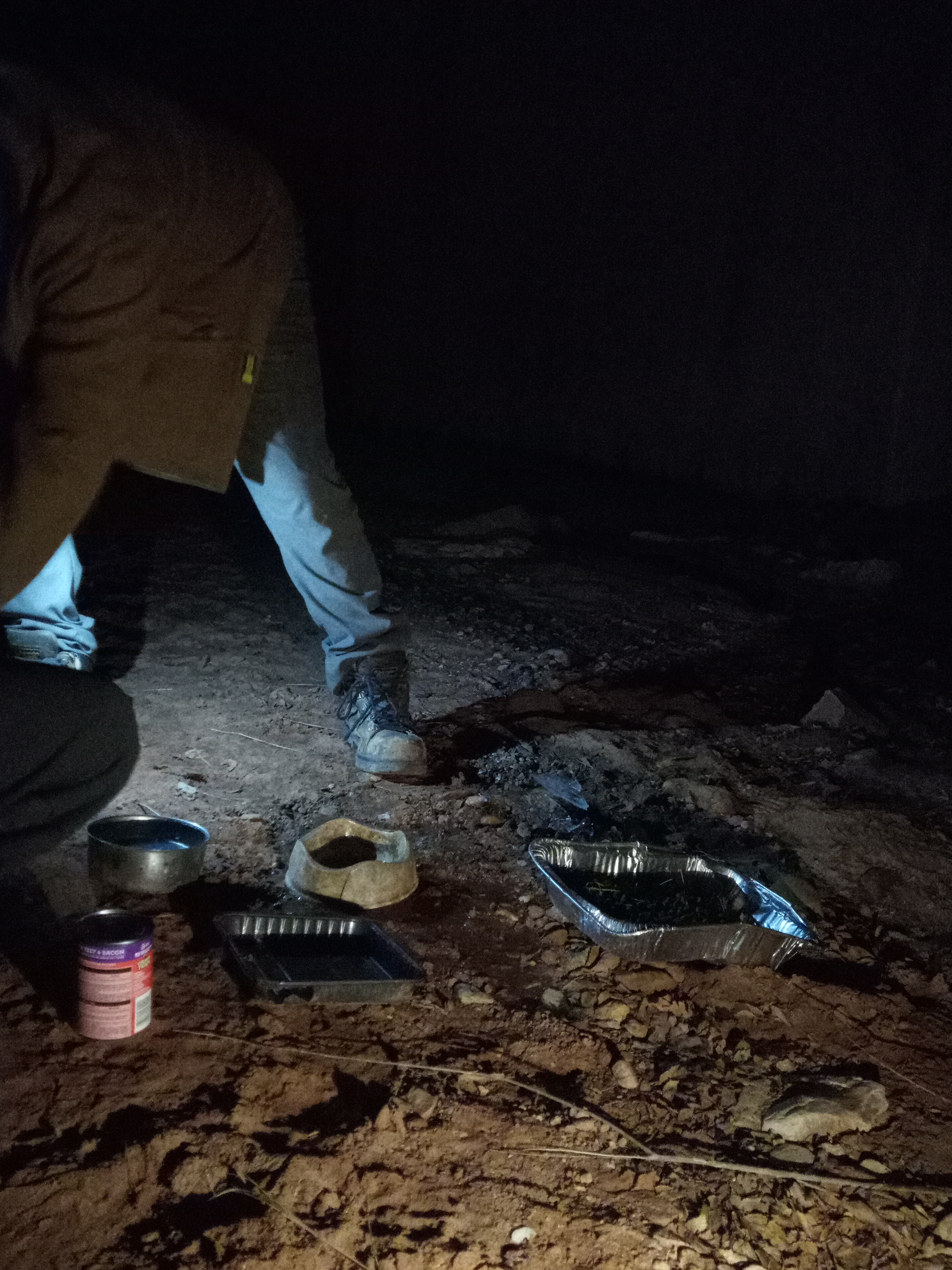 Raw animal camera upload (unprocessed). File: mot-det-20251229-183211.jpg.