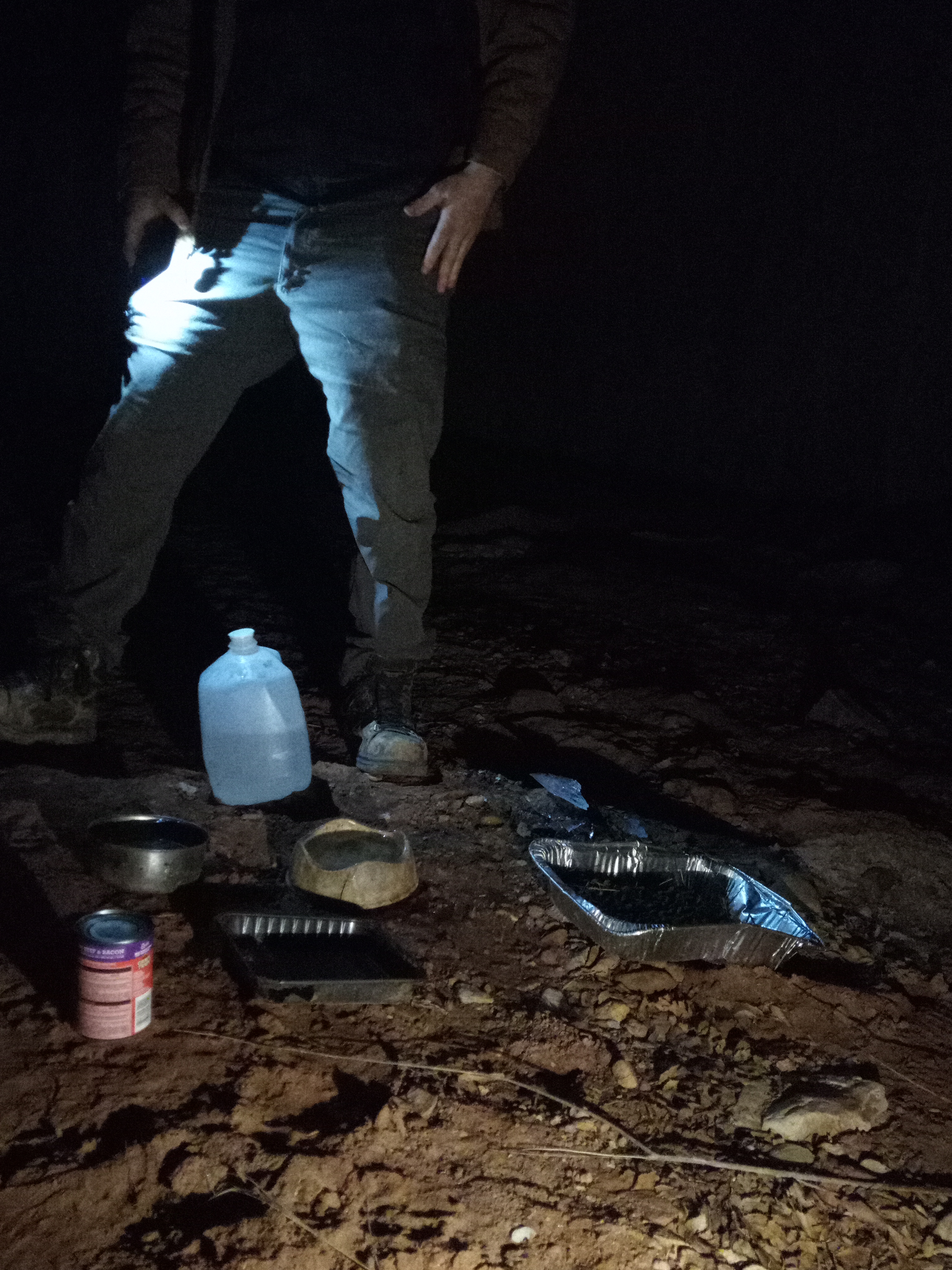 Raw animal camera upload (unprocessed). File: mot-det-20251229-183227.jpg.