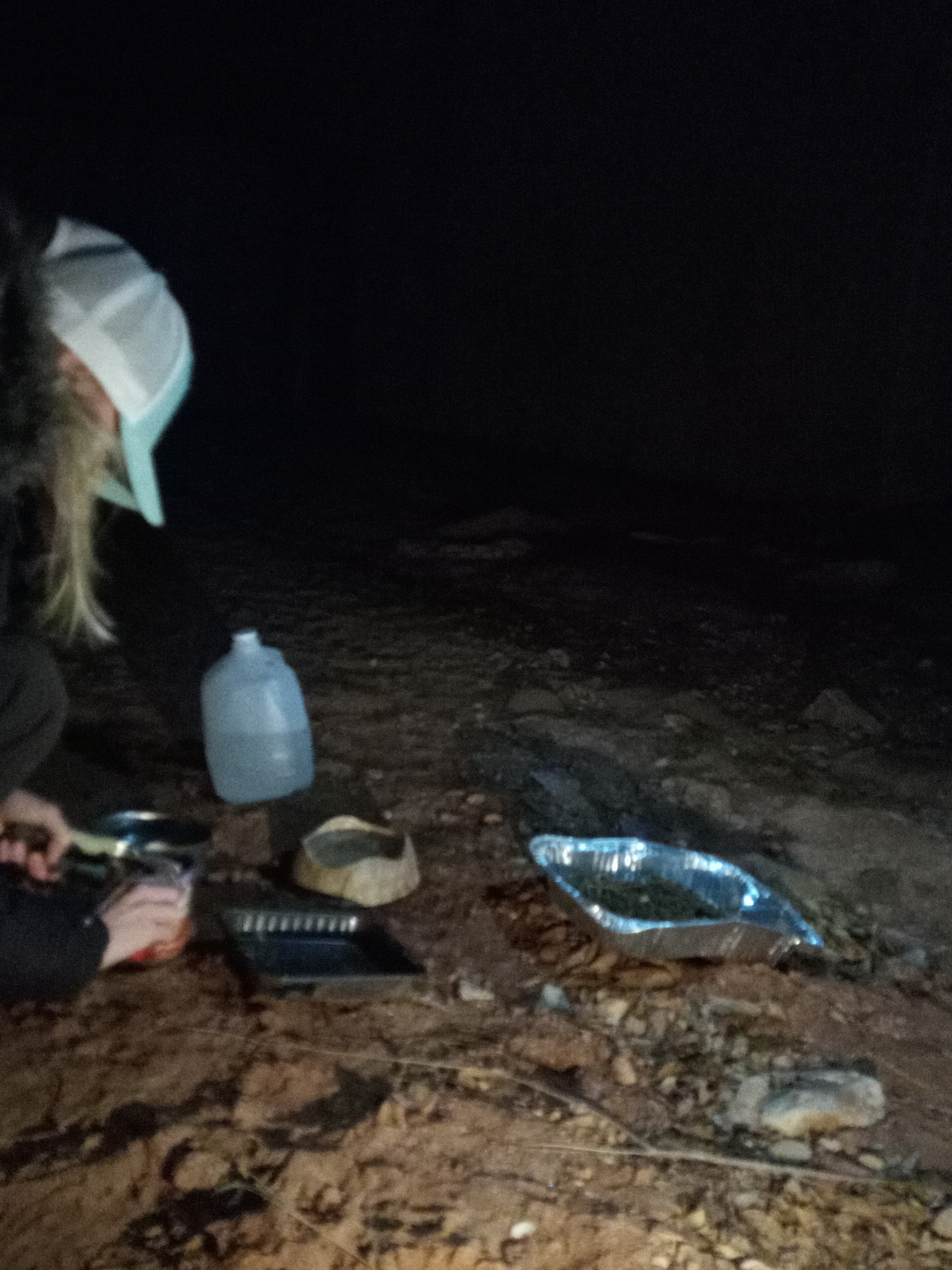 Raw animal camera upload (unprocessed). File: mot-det-20251229-183243.jpg.