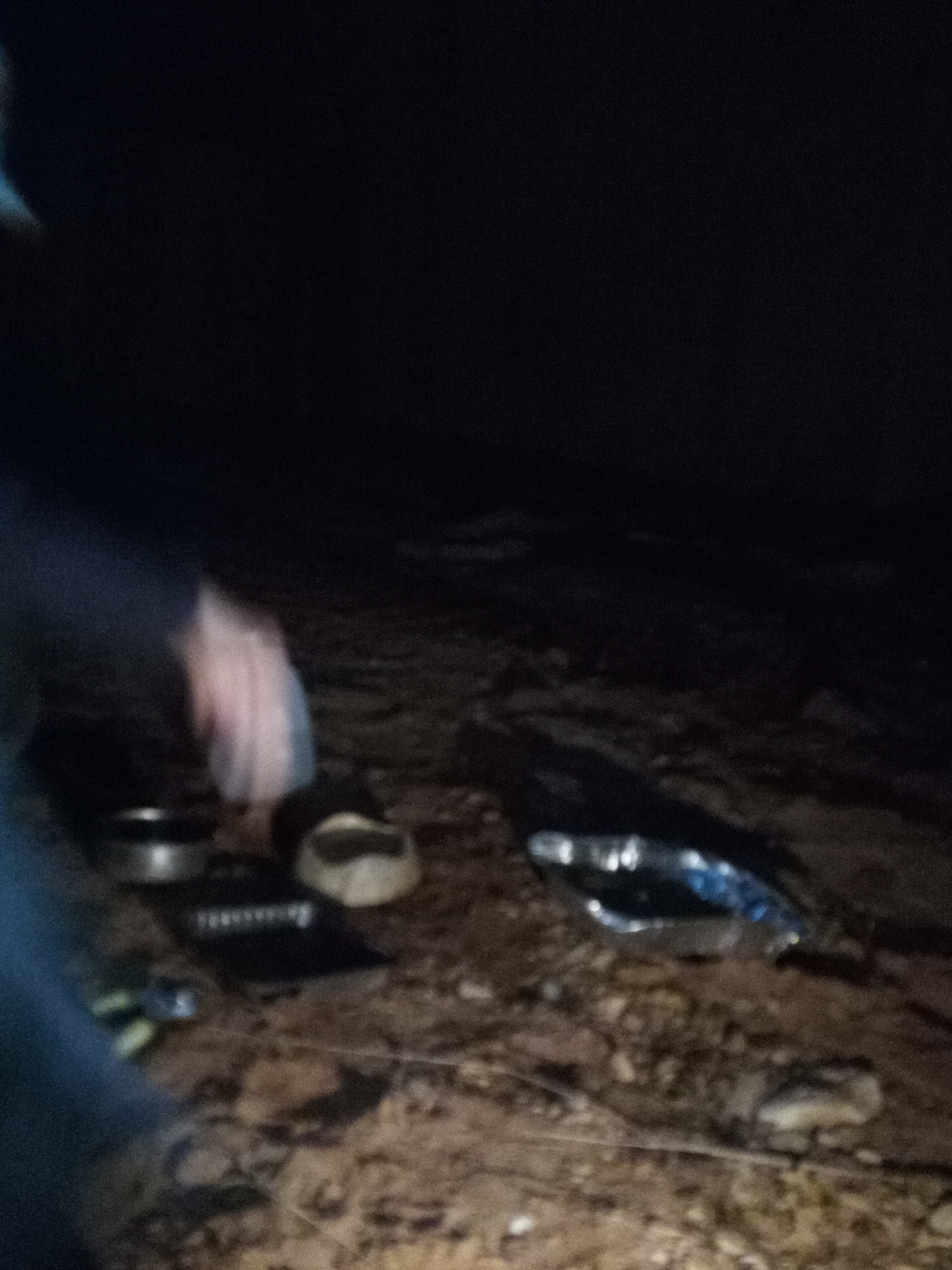 Raw animal camera upload (unprocessed). File: mot-det-20251229-183254.jpg.