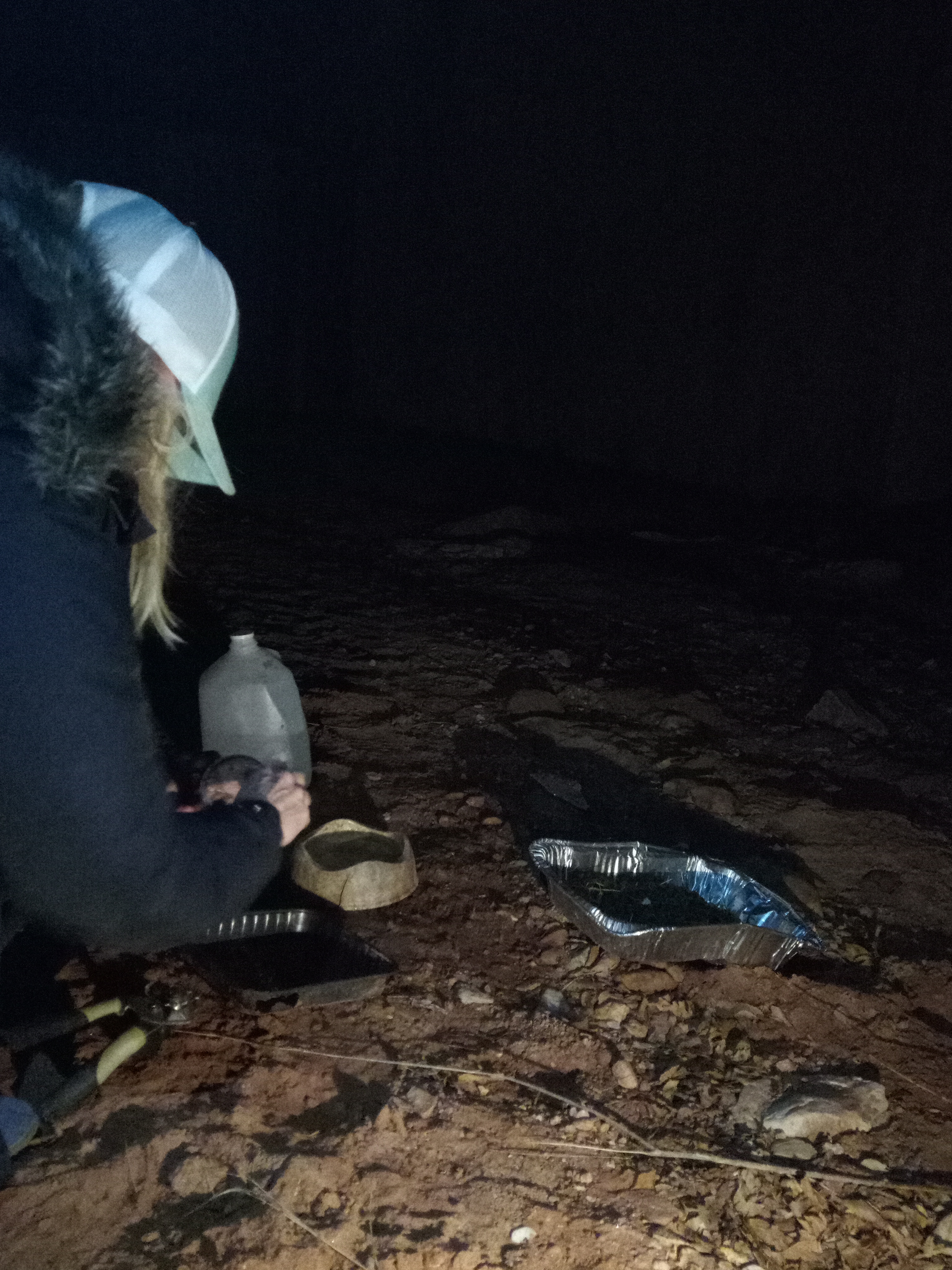 Raw animal camera upload (unprocessed). File: mot-det-20251229-183257.jpg.