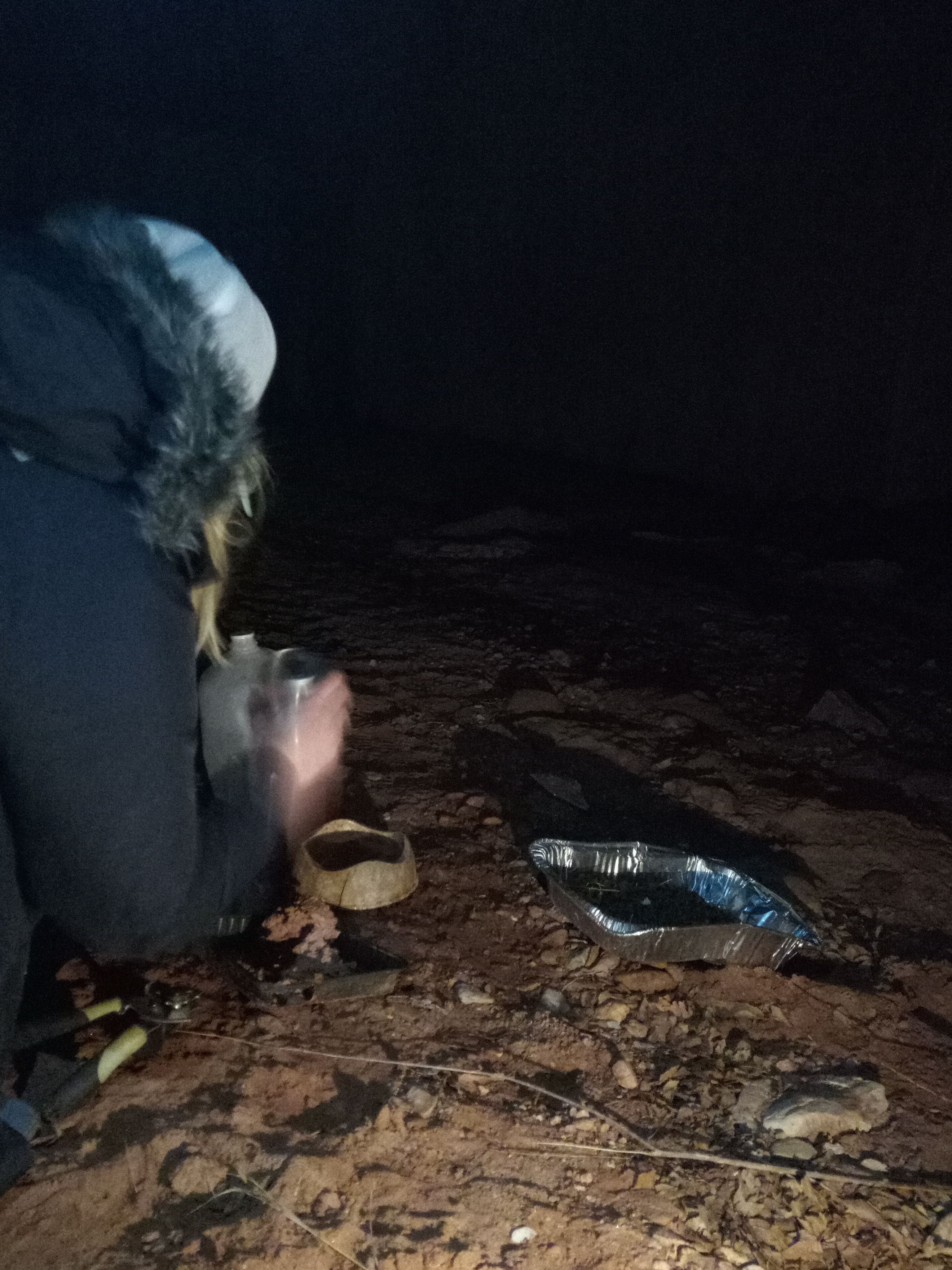 Raw animal camera upload (unprocessed). File: mot-det-20251229-183308.jpg.