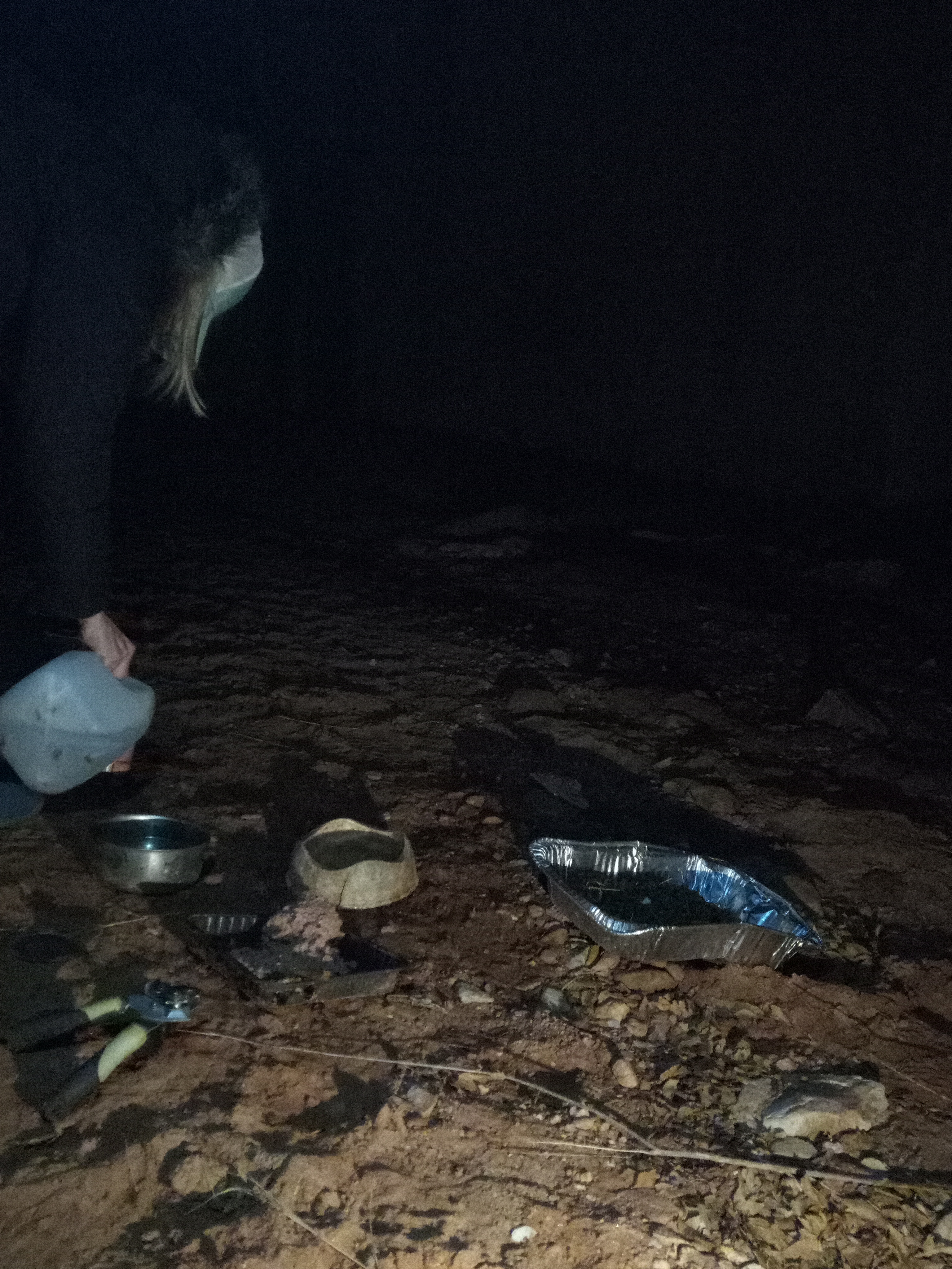 Raw animal camera upload (unprocessed). File: mot-det-20251229-183314.jpg.