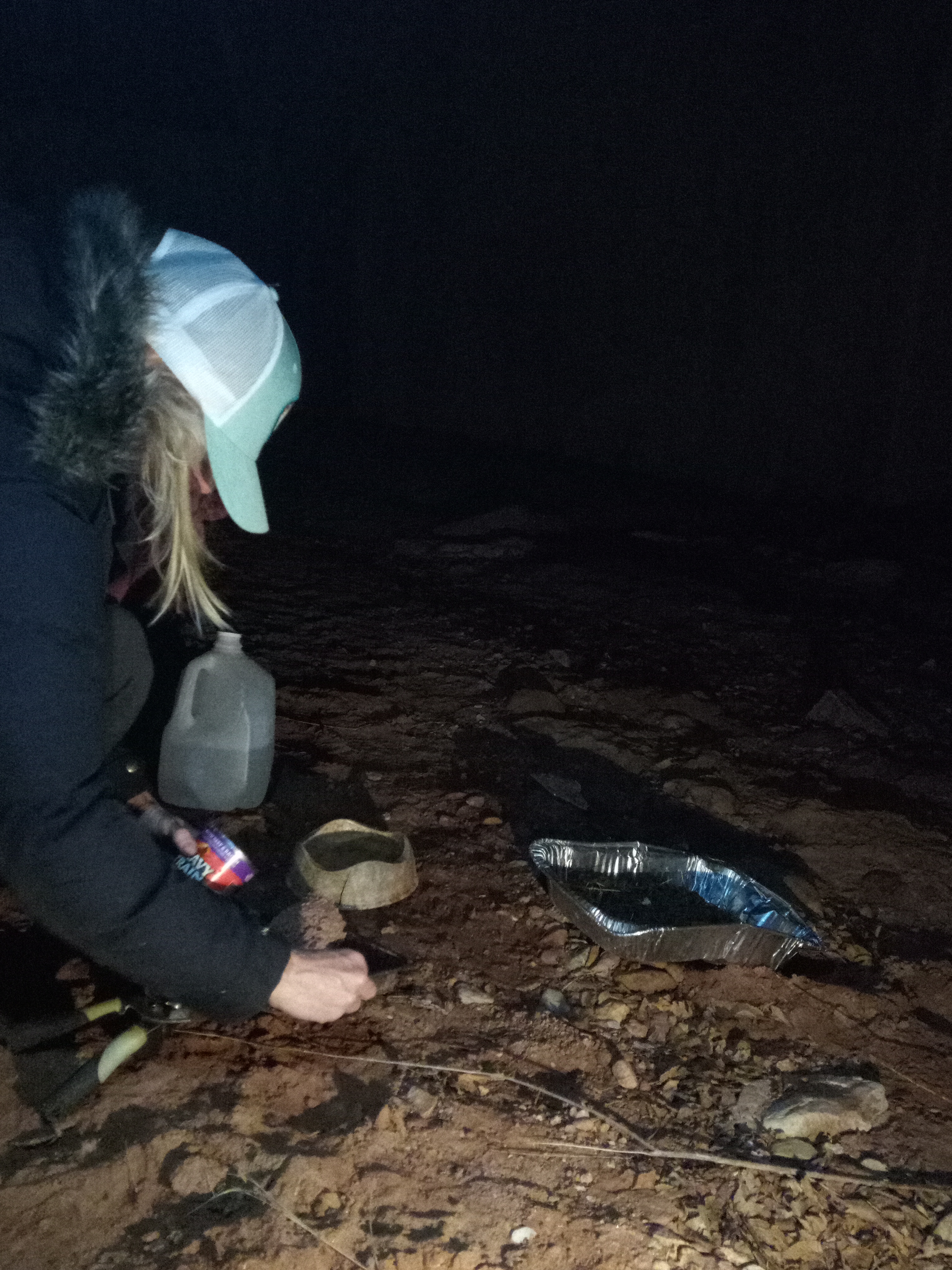 Raw animal camera upload (unprocessed). File: mot-det-20251229-183323.jpg.