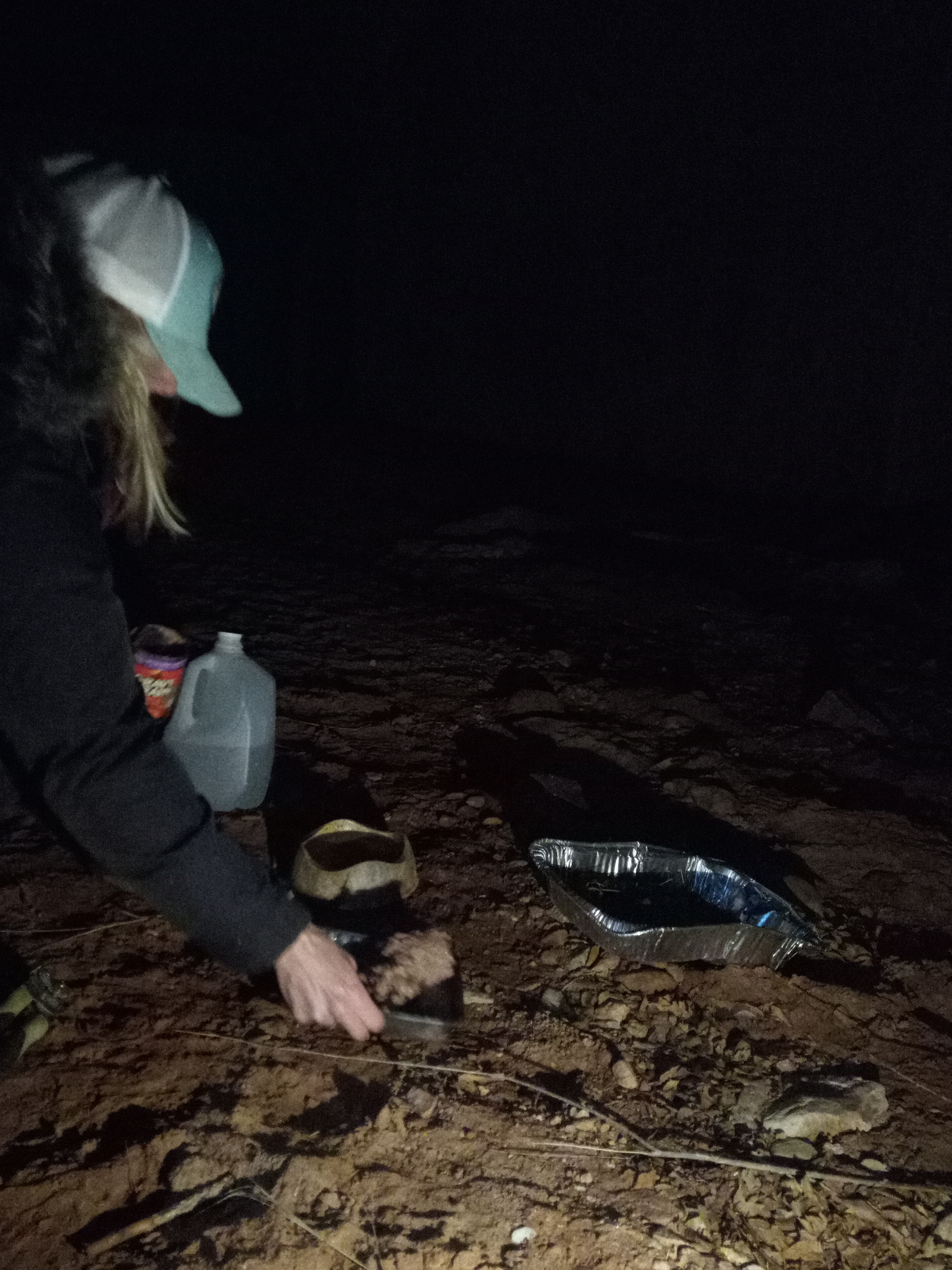 Raw animal camera upload (unprocessed). File: mot-det-20251229-183337.jpg.