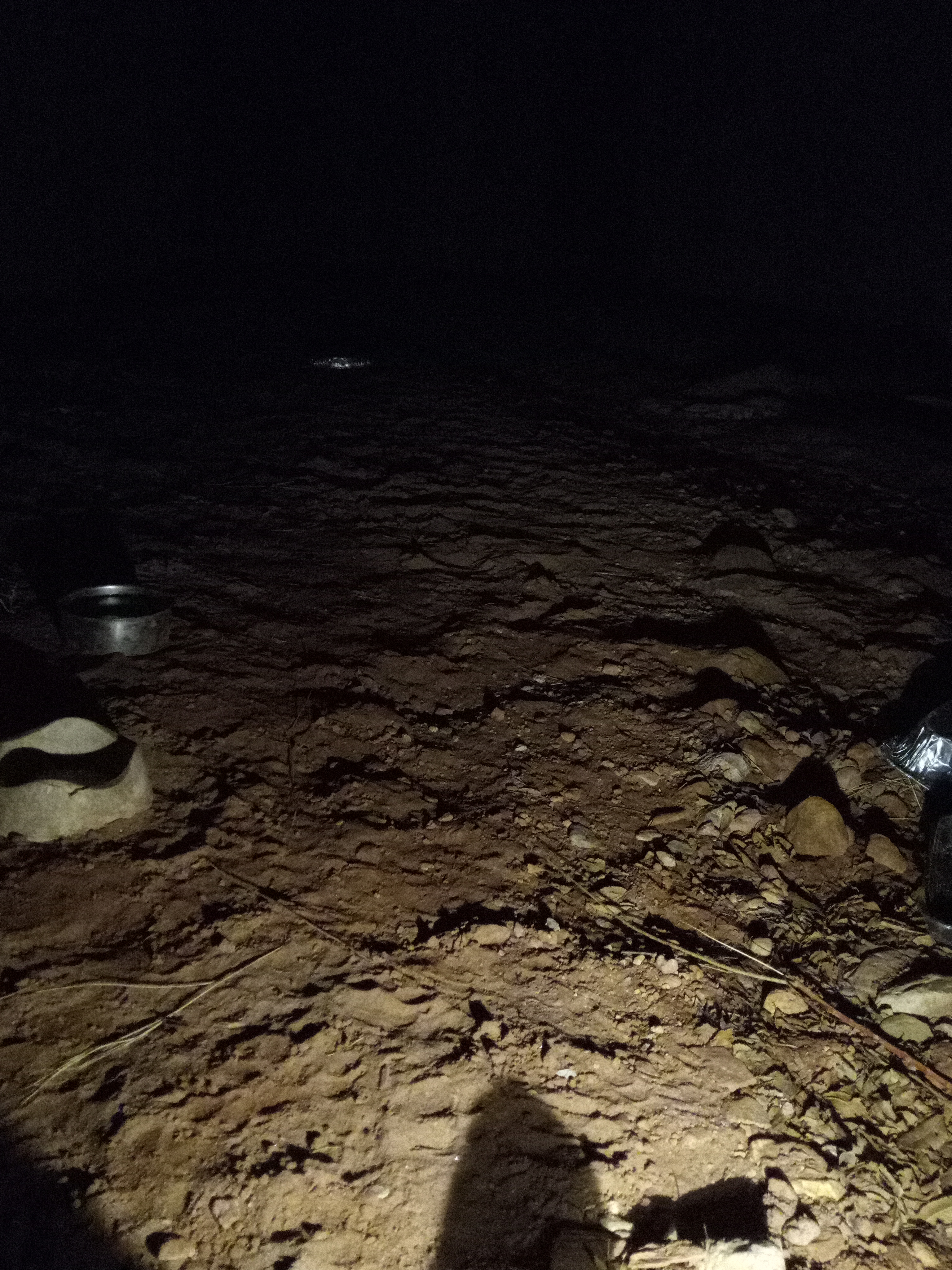 Raw animal camera upload (unprocessed). File: mot-det-20251231-185054.jpg.