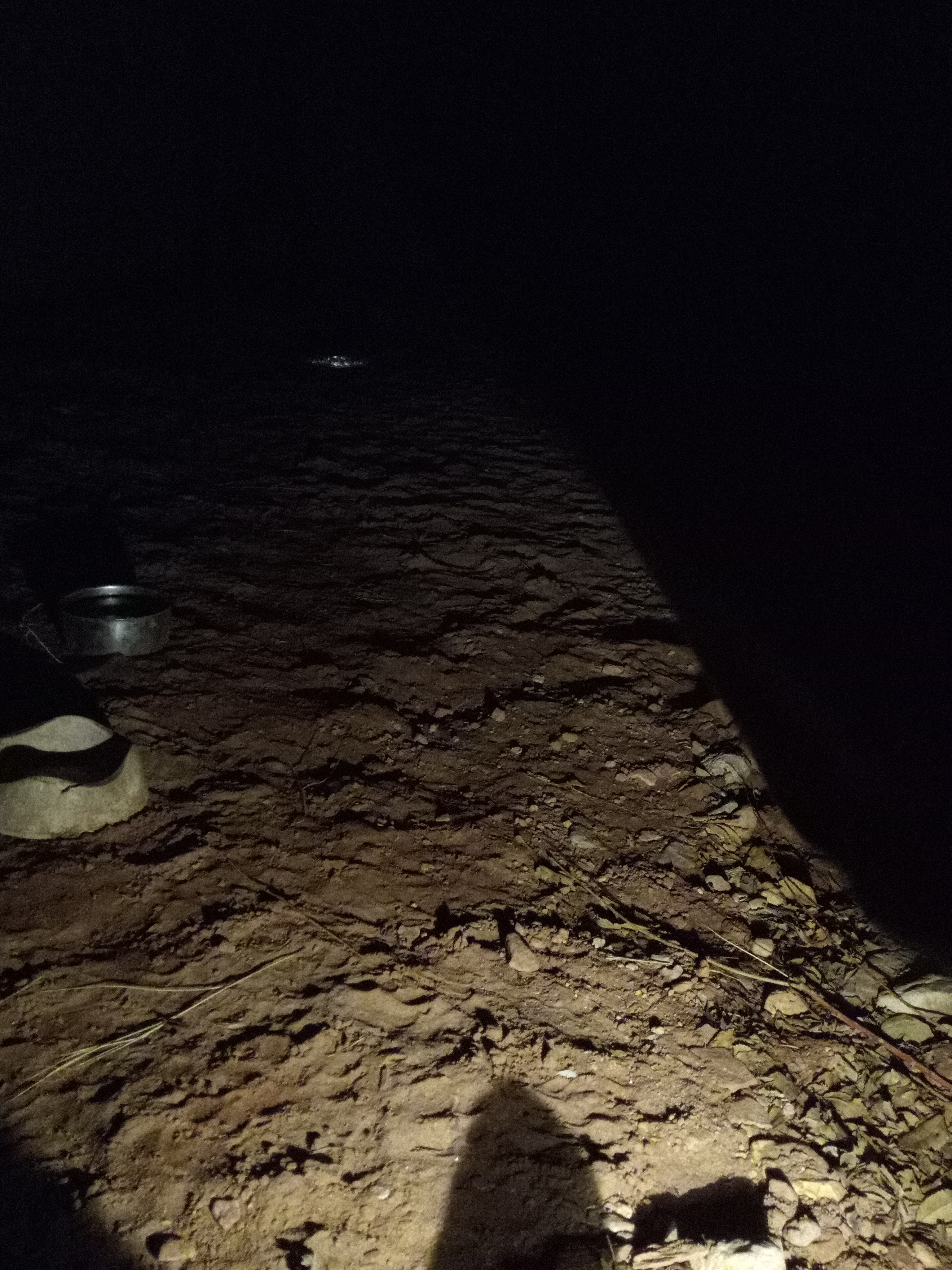 Raw animal camera upload (unprocessed). File: mot-det-20251231-201110.jpg.