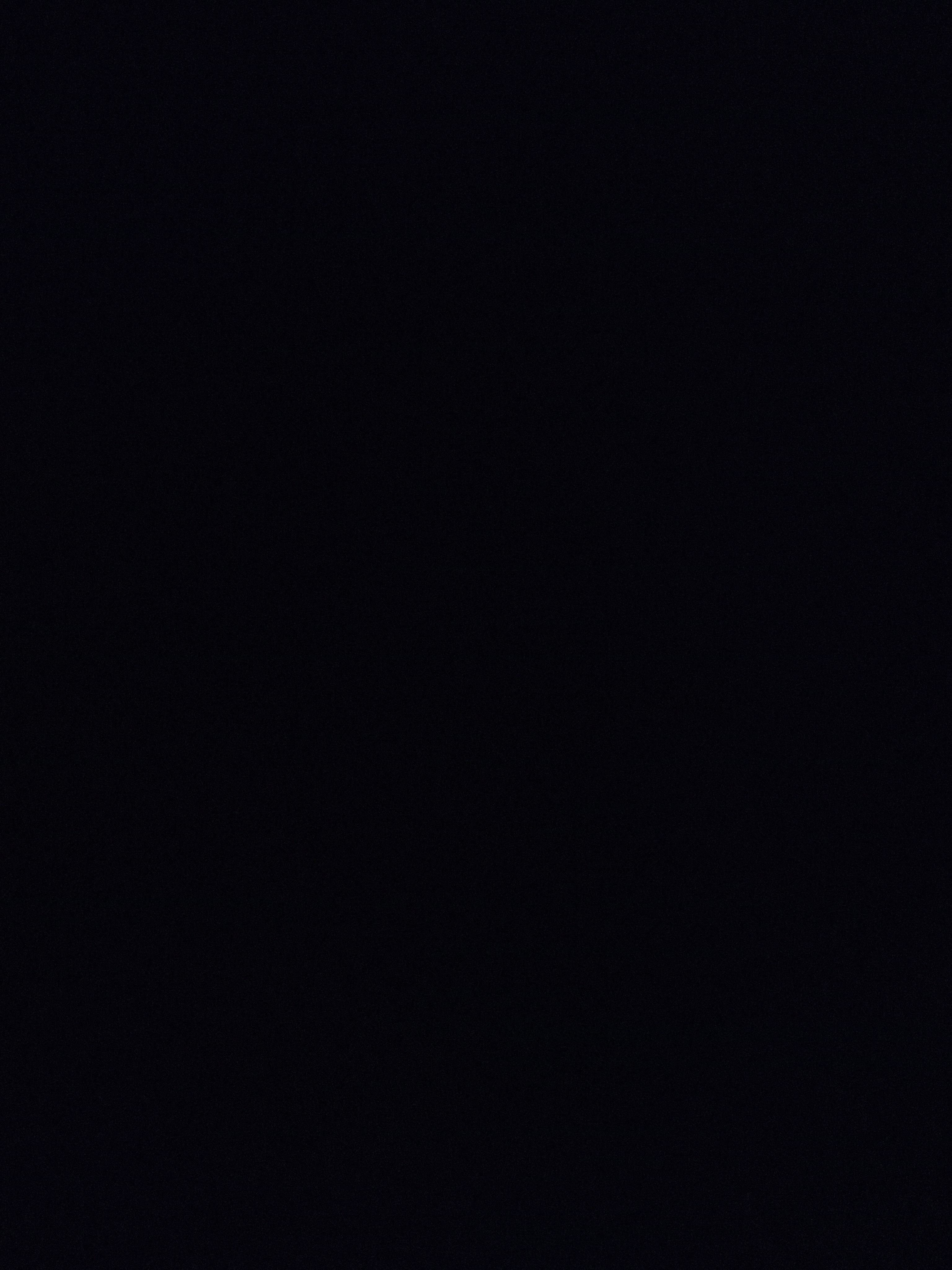 Raw animal camera upload (unprocessed). File: mot-det-20251231-201113.jpg.