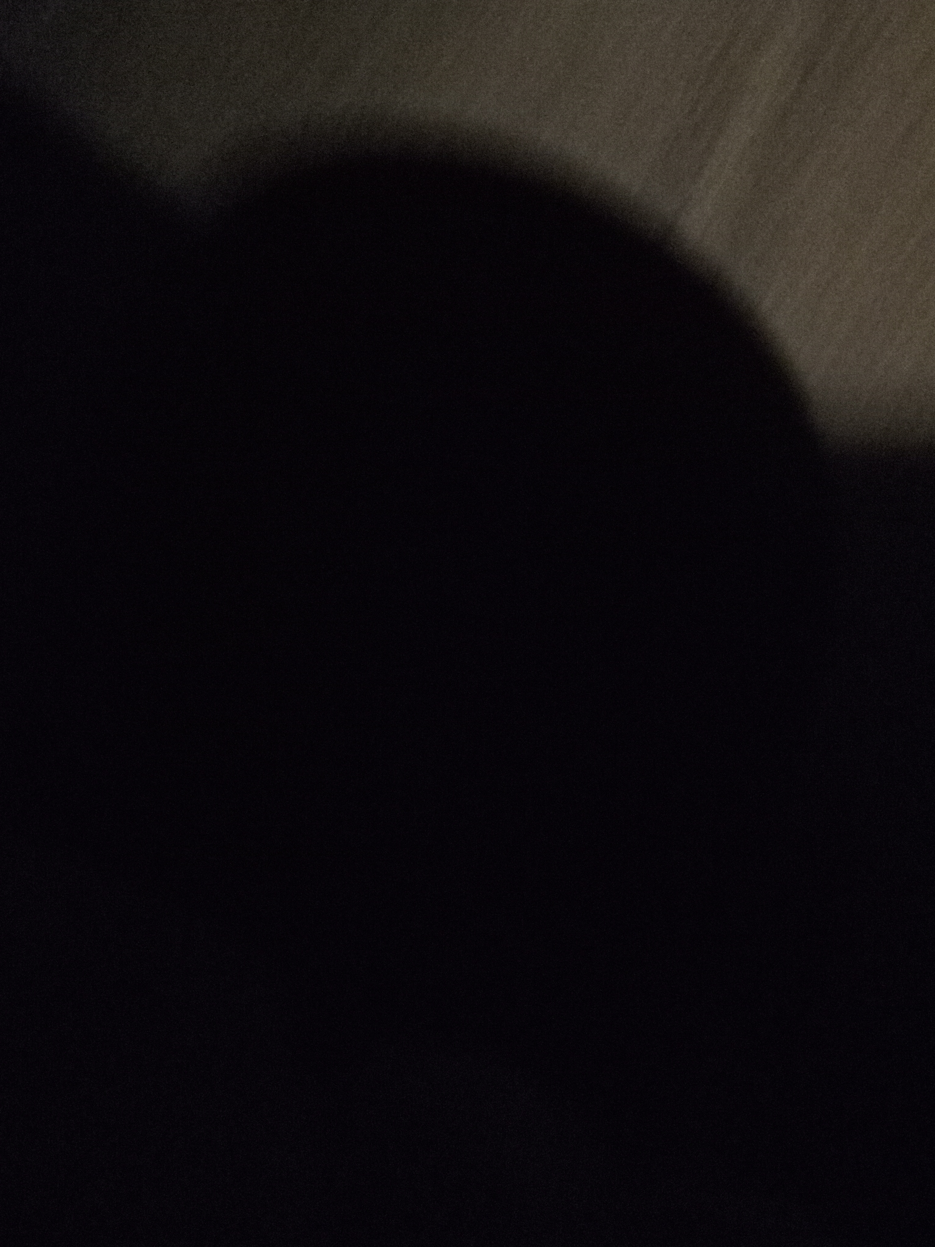 Raw animal camera upload (unprocessed). File: mot-det-20251231-201750.jpg.